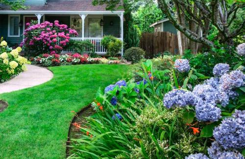 Ландшафтные композиции с гортензией. Что посадить рядом с гортензией — идеи для ландшафтного дизайна с фото
