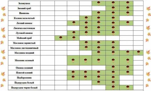 Когда заканчивается сезон грибов. Календарь появления грибов по месяцам