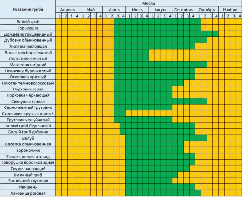 Когда сезон грибов 2023. Лунный календарь грибника на 2022 год