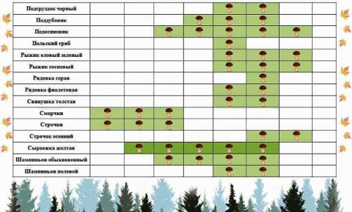 Когда заканчивается сезон грибов. Календарь появления грибов по месяцам