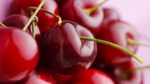 Сорта невысокой вишни. 16 самоплодных сортов вишен