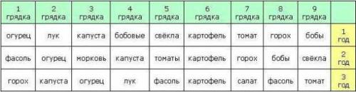Соседство овощей на грядке таблица. Определяем оптимальное соседство овощей на грядках — таблицы и правила севооборота