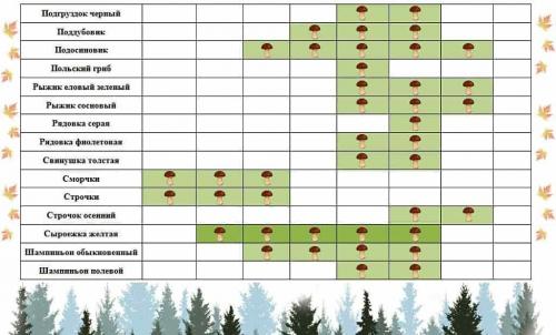 Когда заканчивается сезон грибов. Календарь роста грибов по месяцам