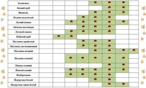 Когда заканчивается сезон грибов. Календарь роста грибов по месяцам