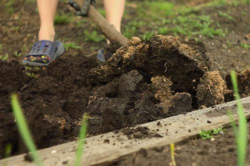 Когда перекапывать огород весной. Когда лучше перекапывать огород — сроки проведения