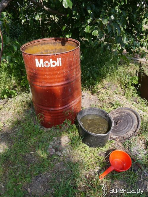 Нужно ли копать огород. Копать или не копать?