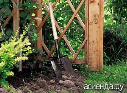 Зачем перекапывать землю весной. Как проводить весеннюю перекопку