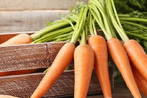 Условия хранения моркови. Способы, где и как хранить морковь