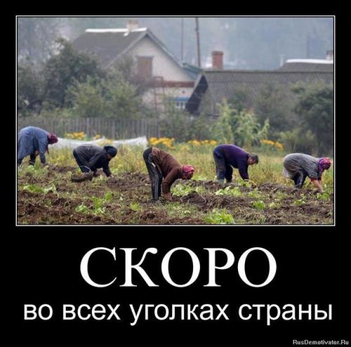 Нужно ли копать огород. Копать или не копать?