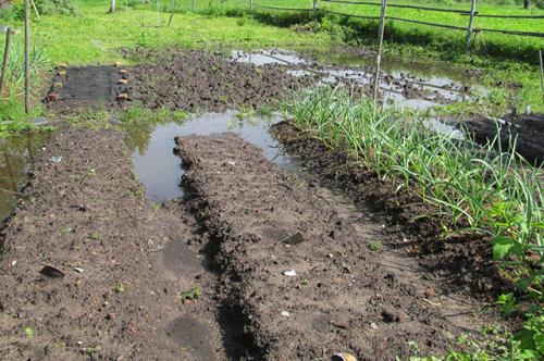 Когда начинать копать огород. Весна в огороде. Краткие инструкции по сезонным работам