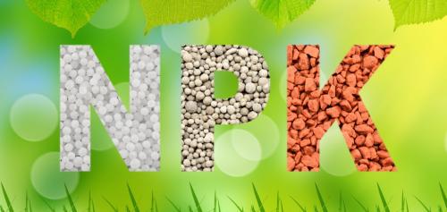 Что вносить осенью в почву. Добавление статьи в новую подборку 01 Что вносить осенью в почву. Добавление статьи в новую подборку 01