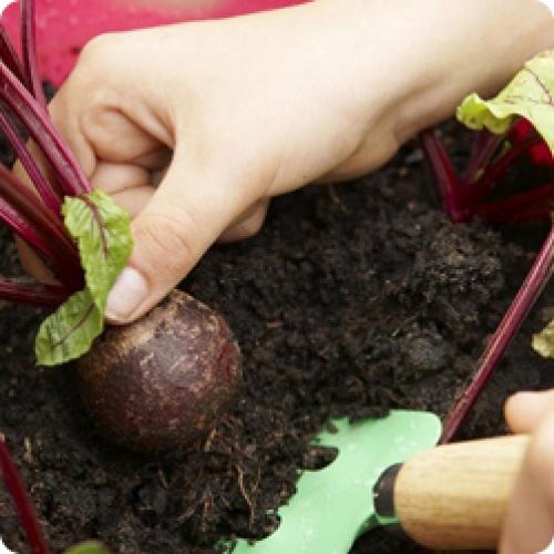 Headlines: 05 Headlines: 05