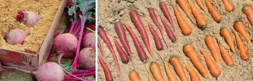 Headlines: 06 Headlines: 06