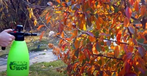 Headlines: 04 Headlines: 04