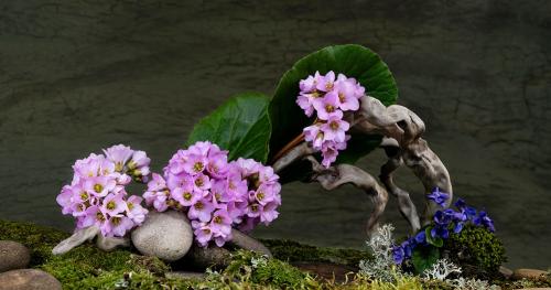 Основные работы в саду в сентябре 2025: подготовка к будущему урожаю 05 Основные работы в саду в сентябре 2025: подготовка к будущему урожаю 05