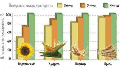 Улучшай свой огород: Секреты севооборота огородных культур 06 Улучшай свой огород: Секреты севооборота огородных культур 06