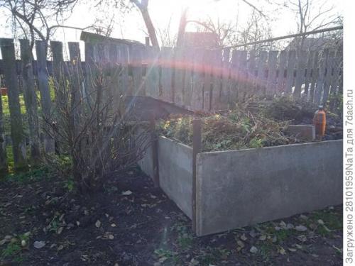 Можно ли использовать компост или навоз для удобрения грядок осенью. Листья желтые, скажите, что вам снится? Удобряем грядки навозом, торфом и перегноем