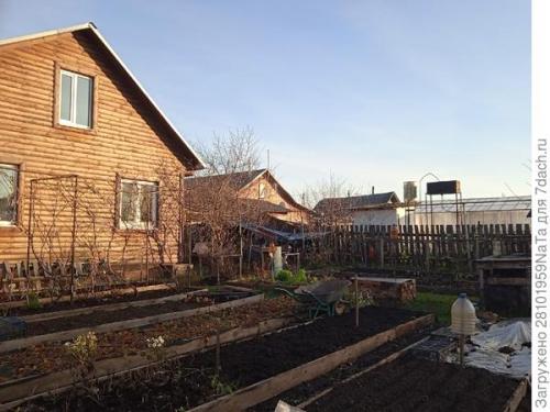 Можно ли использовать компост или навоз для удобрения грядок осенью. Листья желтые, скажите, что вам снится? Удобряем грядки навозом, торфом и перегноем