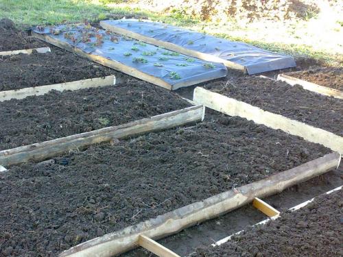 Полное руководство по подготовке грядок с осени: советы и рекомендации 01 Полное руководство по подготовке грядок с осени: советы и рекомендации 01