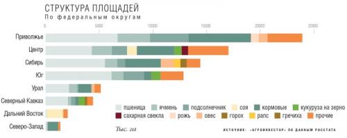 Осенние посевы: как использовать пустые места на огороде после уборки урожая 04
