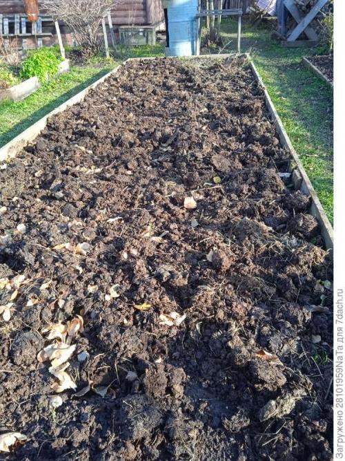 Можно ли использовать компост или навоз для удобрения грядок осенью. Листья желтые, скажите, что вам снится? Удобряем грядки навозом, торфом и перегноем