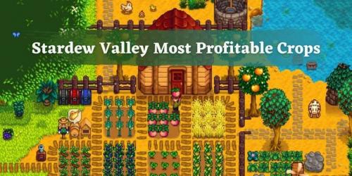 Что сажать осенью стардью. Самые прибыльные культуры Stardew Valley — полное руководство