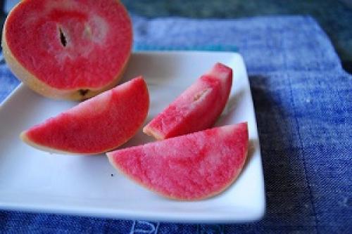 Яблоки с розовой мякотью. Сорт яблок с розовой мякотью