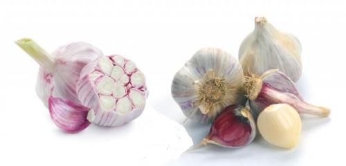 Посадка озимого чеснока осенью. Какой чеснок лучше сажать: озимый осенью или яровой весной