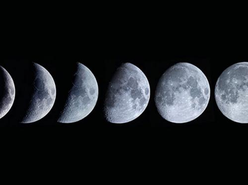 Посадка чеснока в октябре. Когда осенью можно сажать чеснок под зиму, чтобы он успел приняться