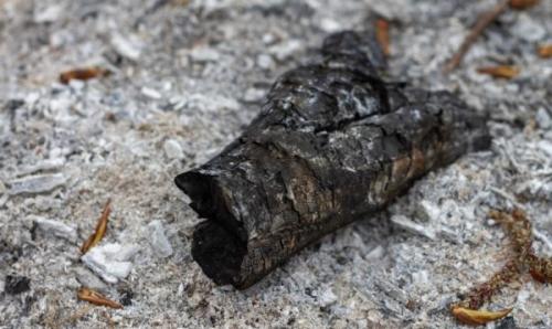 Как применять золу в саду и огороде. Виды золы и ее химический состав 05