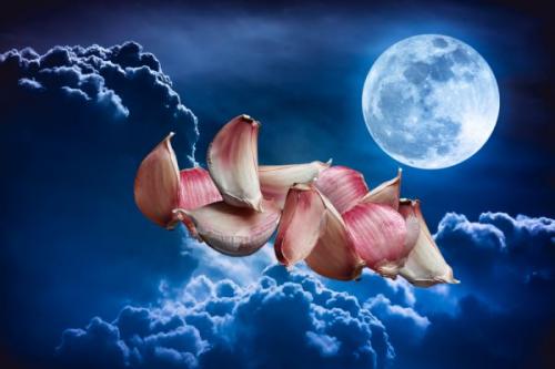 Как сажать чеснок под зиму и чтобы был крупный. Когда сажать озимый чеснок осенью, в каком месяце