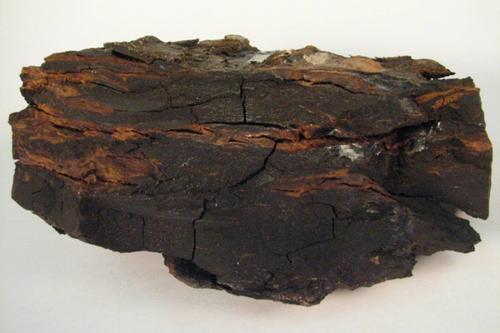 Древесный уголь и зола одно и тоже. Состав и преимущества угольной золы