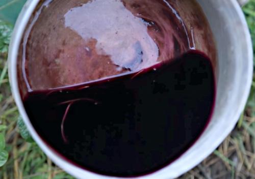 Как подготовить чеснок к посадке весной. Посадка чеснока на головку весной в открытый грунт