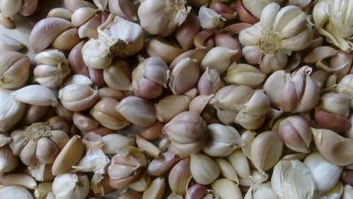 Семена чеснока из стрелок. Сажать осенью