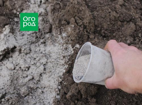 Как правильно сажать чеснок под зиму. Добавление статьи в новую подборку 01