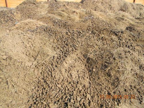 Для чего нужен навоз и как правильно применять его на даче. Добавление статьи в новую подборку 01 Для чего нужен навоз и как правильно применять его на даче. Добавление статьи в новую подборку 01