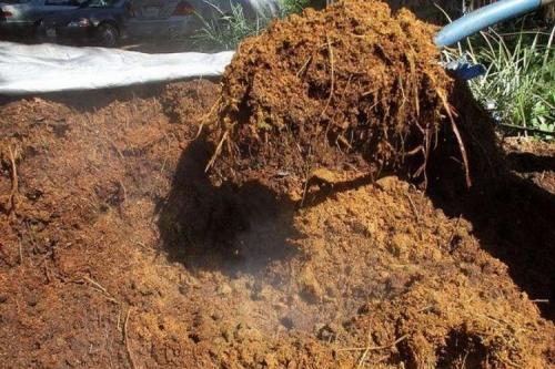 Что нельзя удобрять конским навозом. Конский навоз и его применение в качестве удобрения