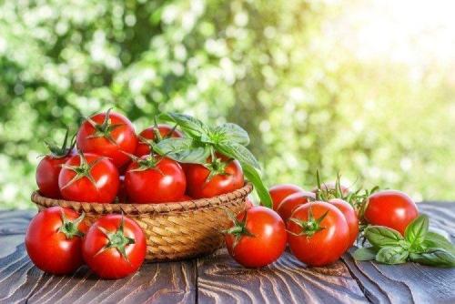 Низкорослые урожайные сорта томатов. Низкорослые томаты: лучшие сорта с фото и названиями (каталог)