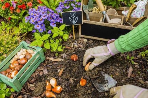Работы на даче в сентябре в ленинградской области. Основные работы на даче в сентябре 02