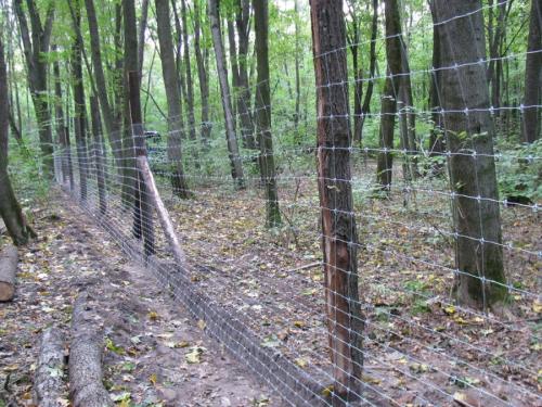 Самый дешевый забор украина. Дешевые бюджетные заборы