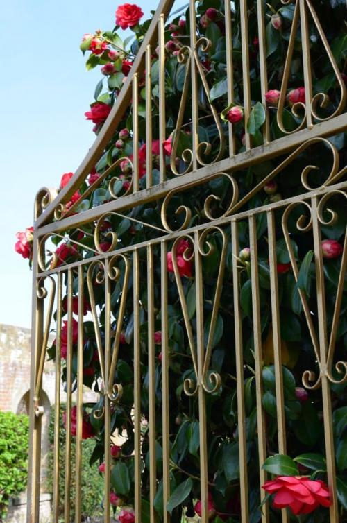 Самые красивые заборы. Красивые заборы — 85 фото-идей оптимального дизайна для современных домов