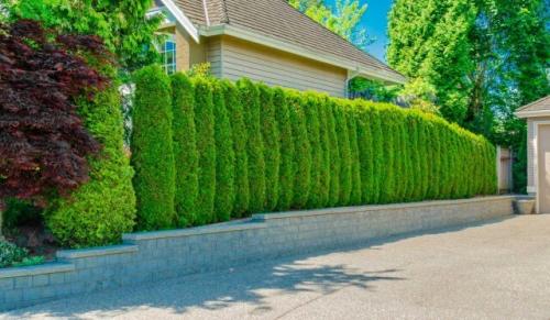 Максимально дешевый забор. Как сделать самый дешевый забор для дачи своими руками?