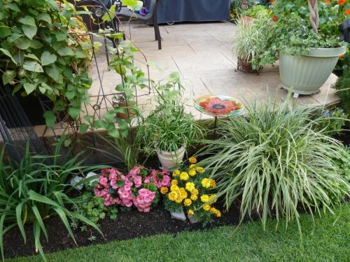 Декоративные травы для сада. Декоративная трава — применение в ландшафтном дизайне и подбор злаков (95 фото)