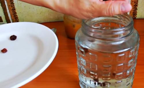 Березовый квас с изюмом. 12 ПРОСТЫХ рецептов кваса из березового сока 2022 в домашних условиях: пошаговые с фото