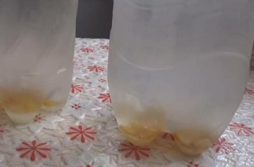 Приготовление березового кваса. Домашний квас из березового сока с изюмом без дрожжей