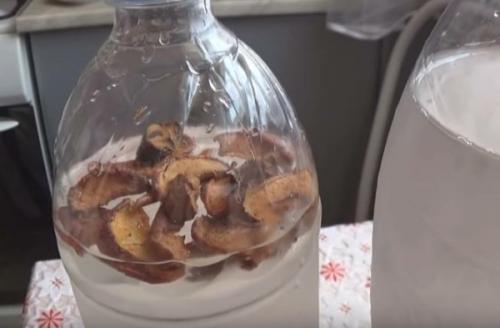 Приготовление березового кваса. Домашний квас из березового сока с изюмом без дрожжей