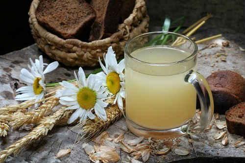 Старинный рецепт кваса из березового сока. Квас из березового сока в домашних условиях — вкусные рецепты