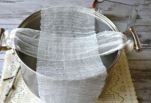 Березовый квас на пиве. Квас из березового сока в домашних условиях