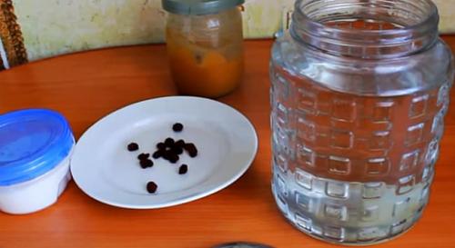 Березовый квас с изюмом. 12 ПРОСТЫХ рецептов кваса из березового сока 2022 в домашних условиях: пошаговые с фото