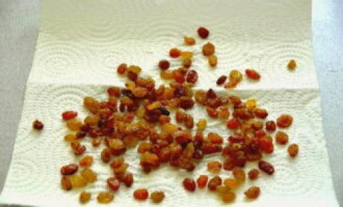 Березовый квас в банке. Квас из березового сока с изюмом – 5 рецептов в домашних условиях